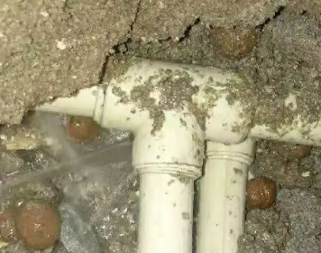 大新测漏水多少钱