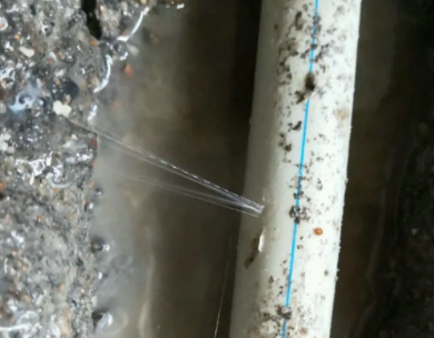 大新测漏水哪家好