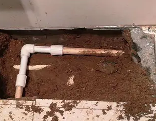 大新测漏水哪家好