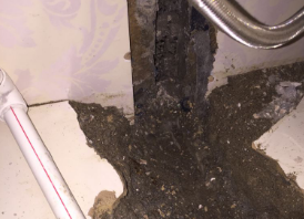 大新卫生间测漏水哪家好