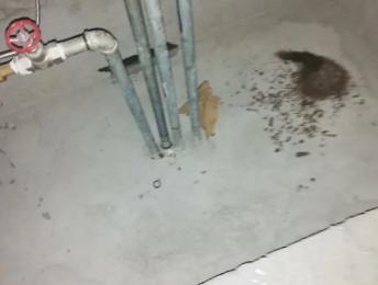 大新卫生间测漏水价格明细