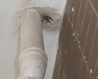 大新漏水检测哪家好